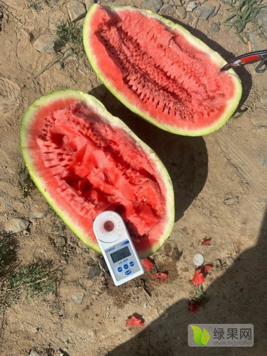 2024年9月15日铸造砂价格行情最新价格查询