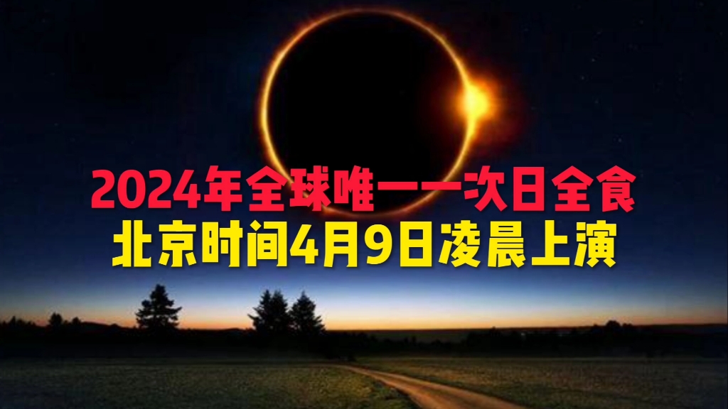 2024年9月16日碳酸钾价格行情最新价格查询