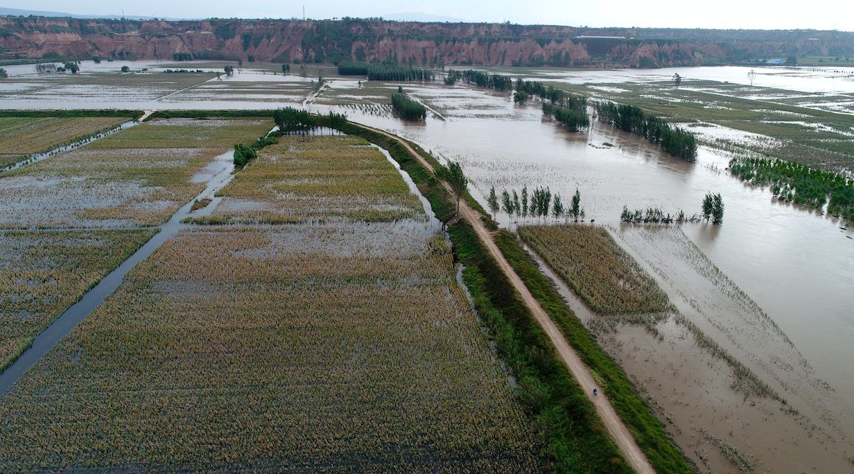 网商银行大山雀亮相中国农民丰收节,卫星遥感为178万农户带来普惠金融服务