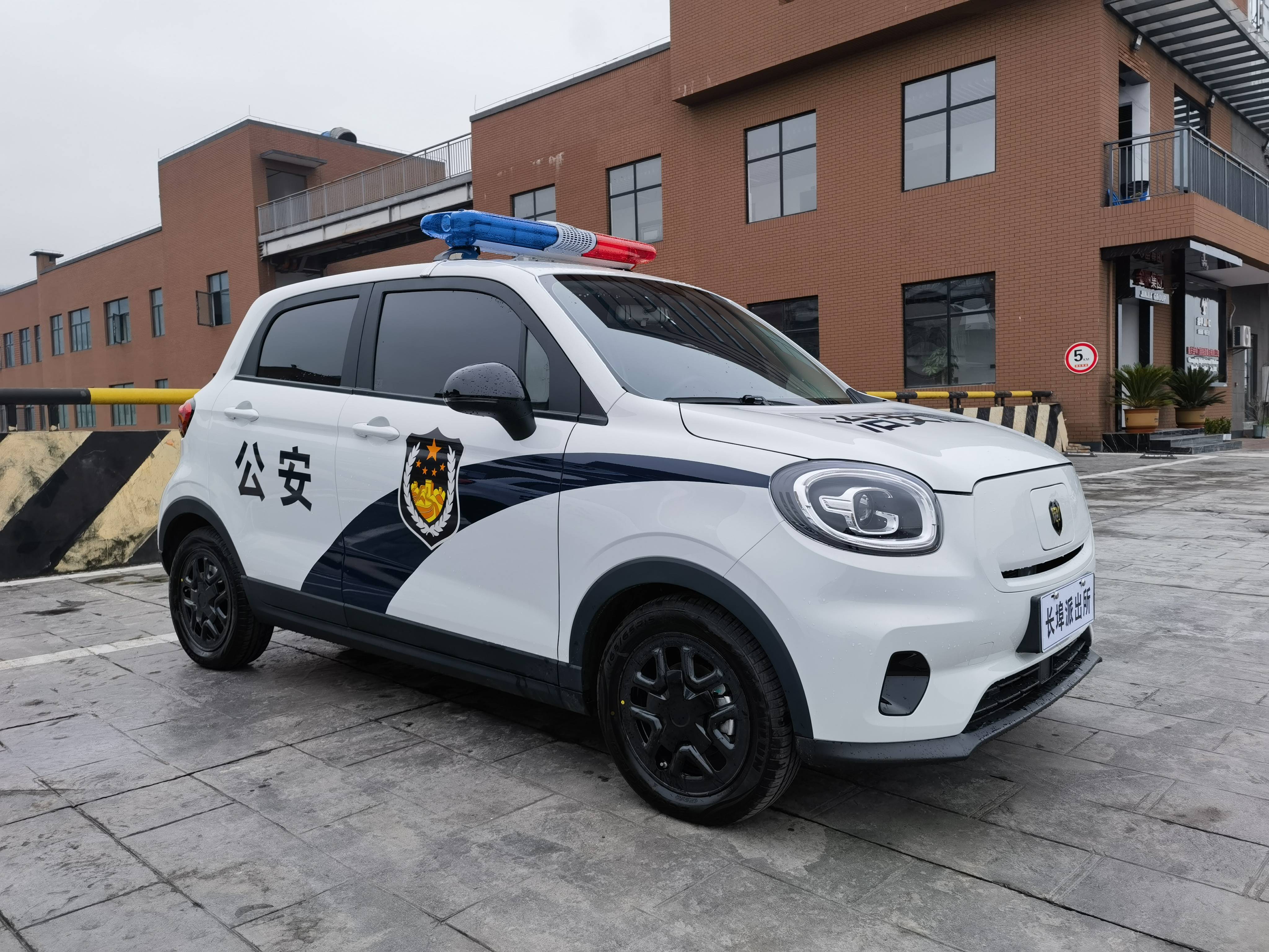 瑞典首相称满足无化石能源需求是推动汽车产业电动化转型的根本