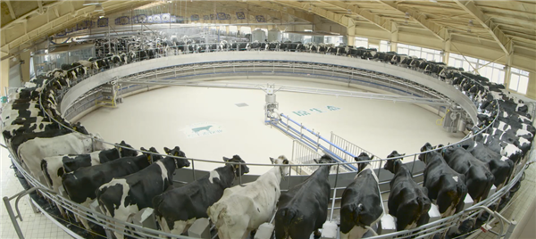 中国飞鹤:与日本协和发酵的合作仅为技术交流,不涉及原料进口及配方使用