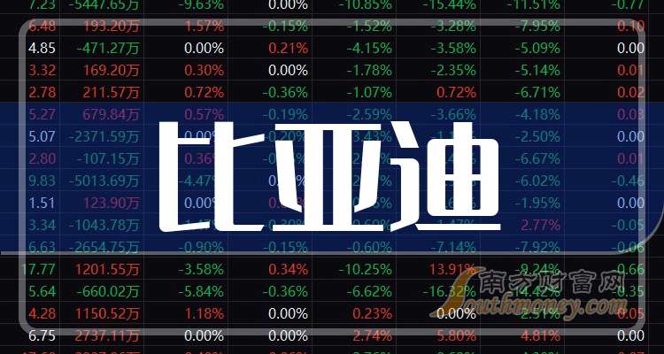 英洛华涨停，深股通净买入809.67万元