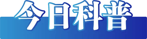 2024年12月14日今日绿沸石最新价格查询