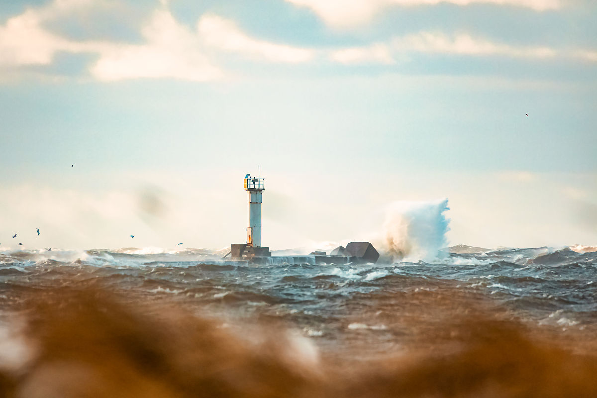 市场风云突变!国债期货午后突然跳水 有何消息刺激?