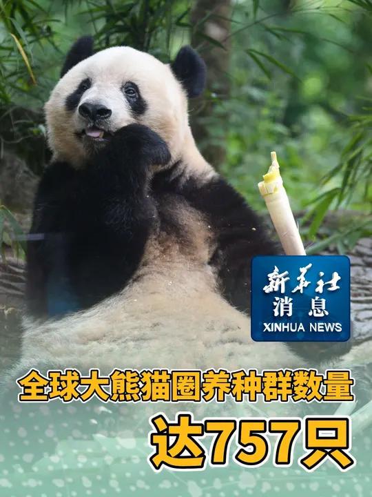 我国珍稀濒危野生动植物种群数量稳步增长