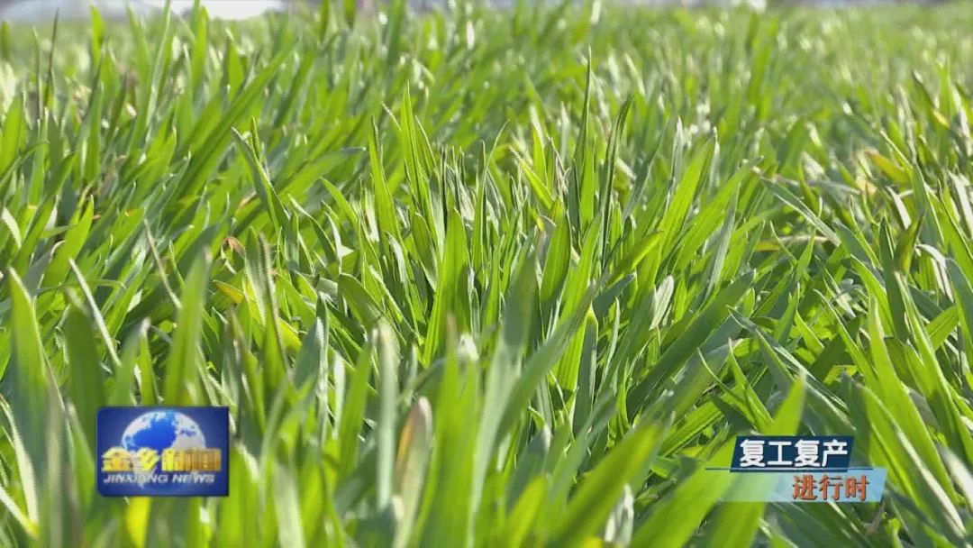 东方电气董事长罗乾宜：“十五五”时期将坚持传统产业和战新产业两手抓