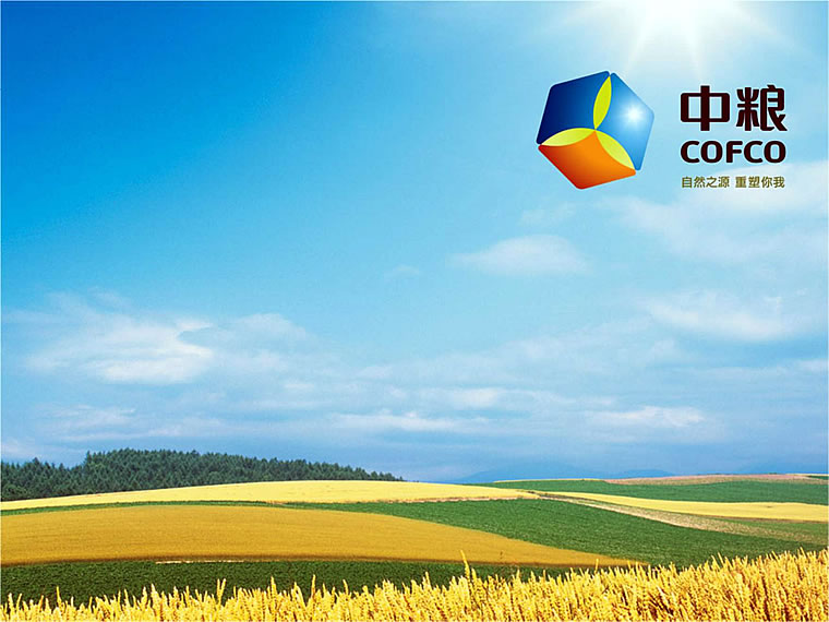 中粮资本：专注提升核心竞争力