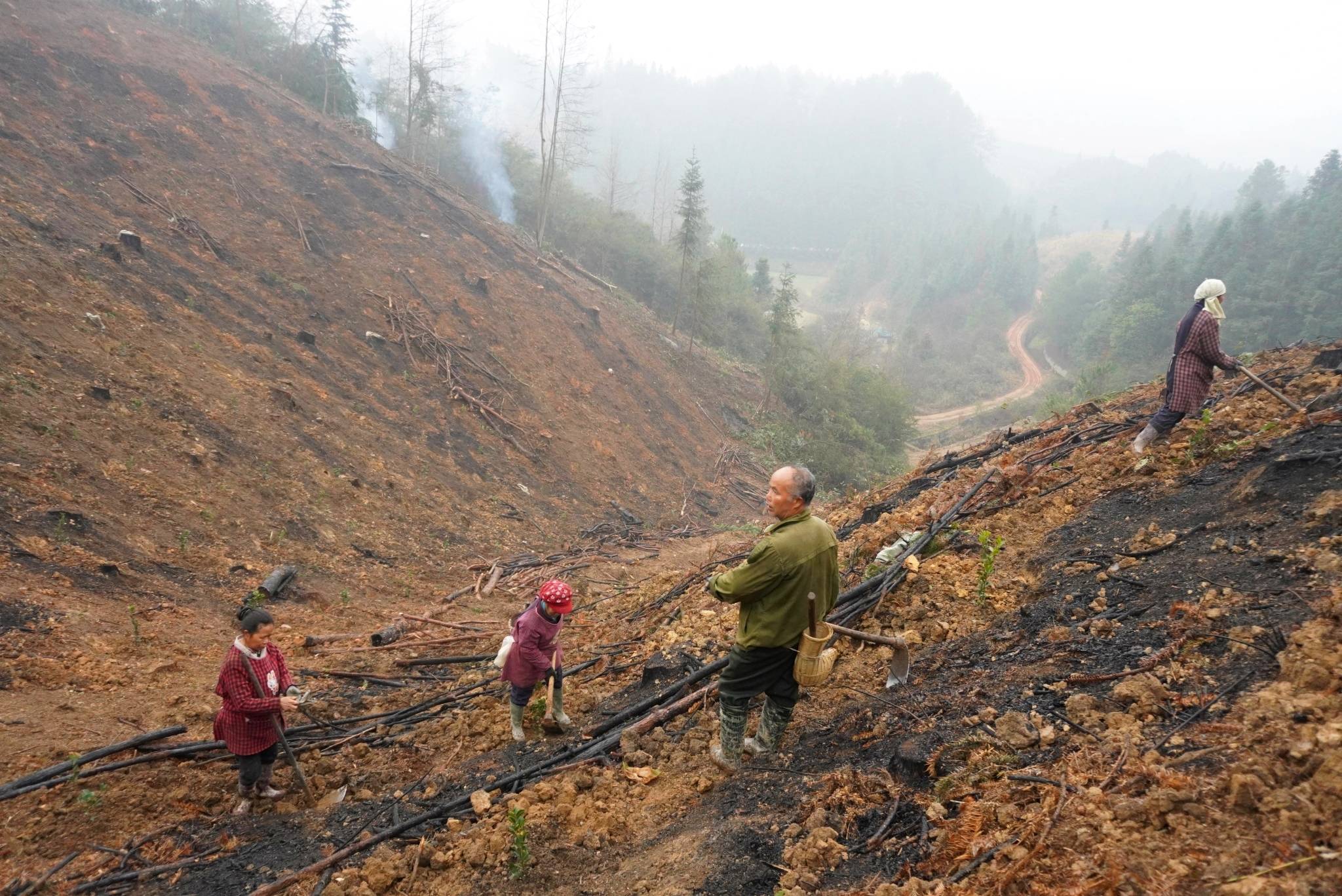广西巴立村：户户皆有大学生 深山书写振兴答卷丨新春走基层