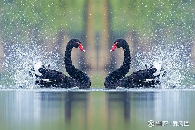 立方风控鸟·晚报（2月24日）