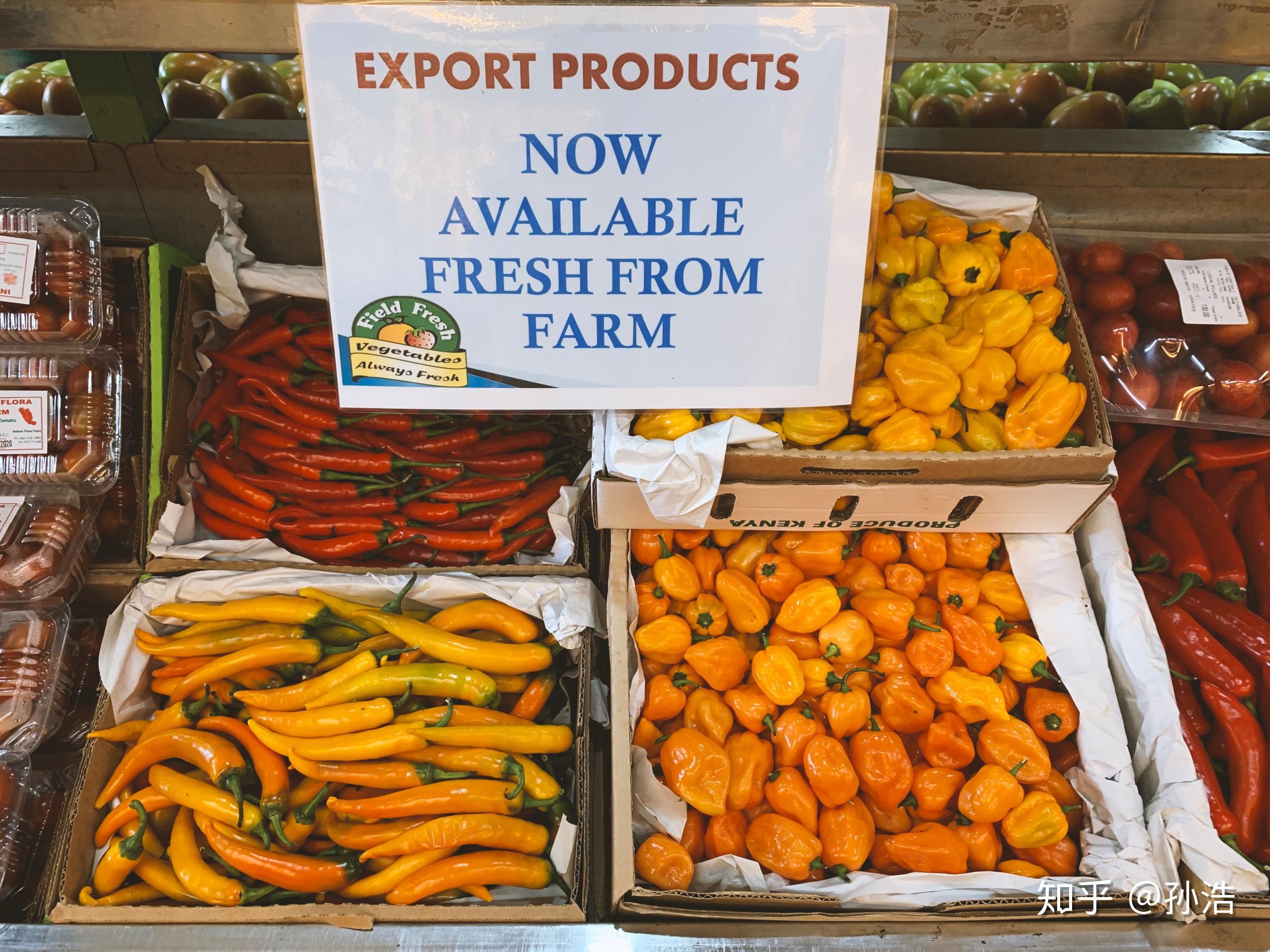 标普评级称肯尼亚债务可能导致先令贬值