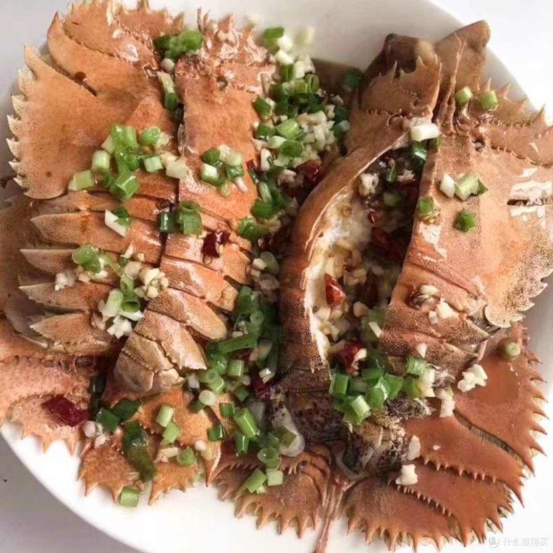 “我做了一年多智能体科普，还比不上龙虾一夜火爆！”关于龙虾的一切，周鸿�t这么看→
