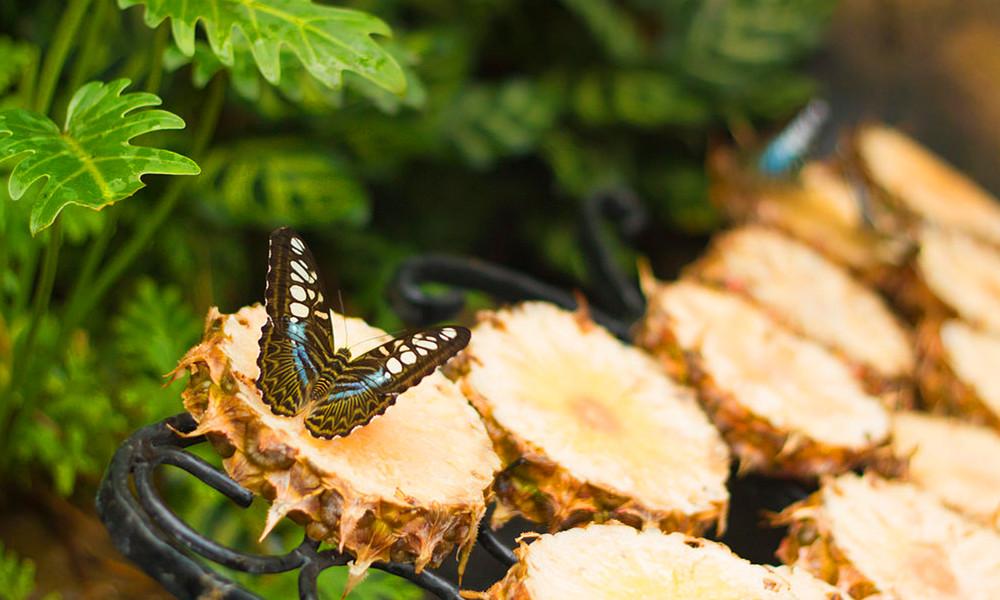 从广州白云机场到新加坡樟宜机场 奥飞新能源助力全球能源绿色智慧转型