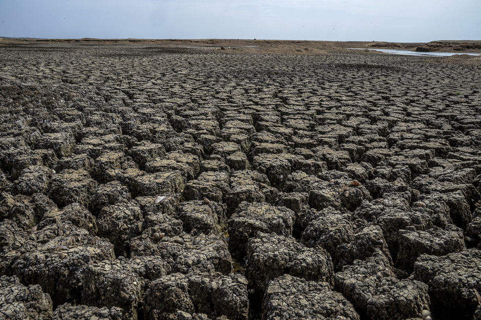 印度人均水资源量较1961年降七成,政府谋划长期改革