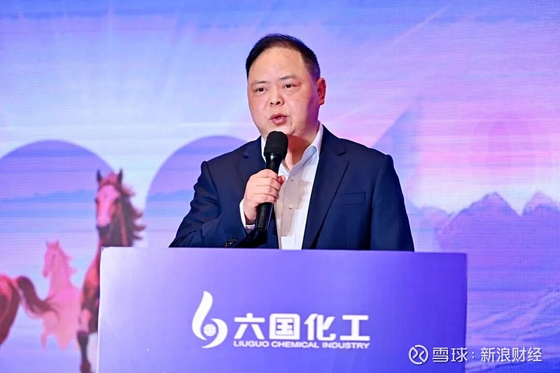 六国化工:公司累计对外担保金额约14.26亿元