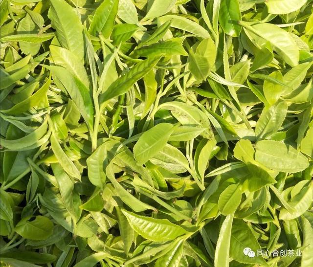 迈为股份:公司针对刻蚀、薄膜沉积及先进封装领域加速布局 推出多种产品及成套解决方案