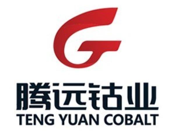 泰禾股份:2025年度净利润约4.66亿元,同比增加75.13%