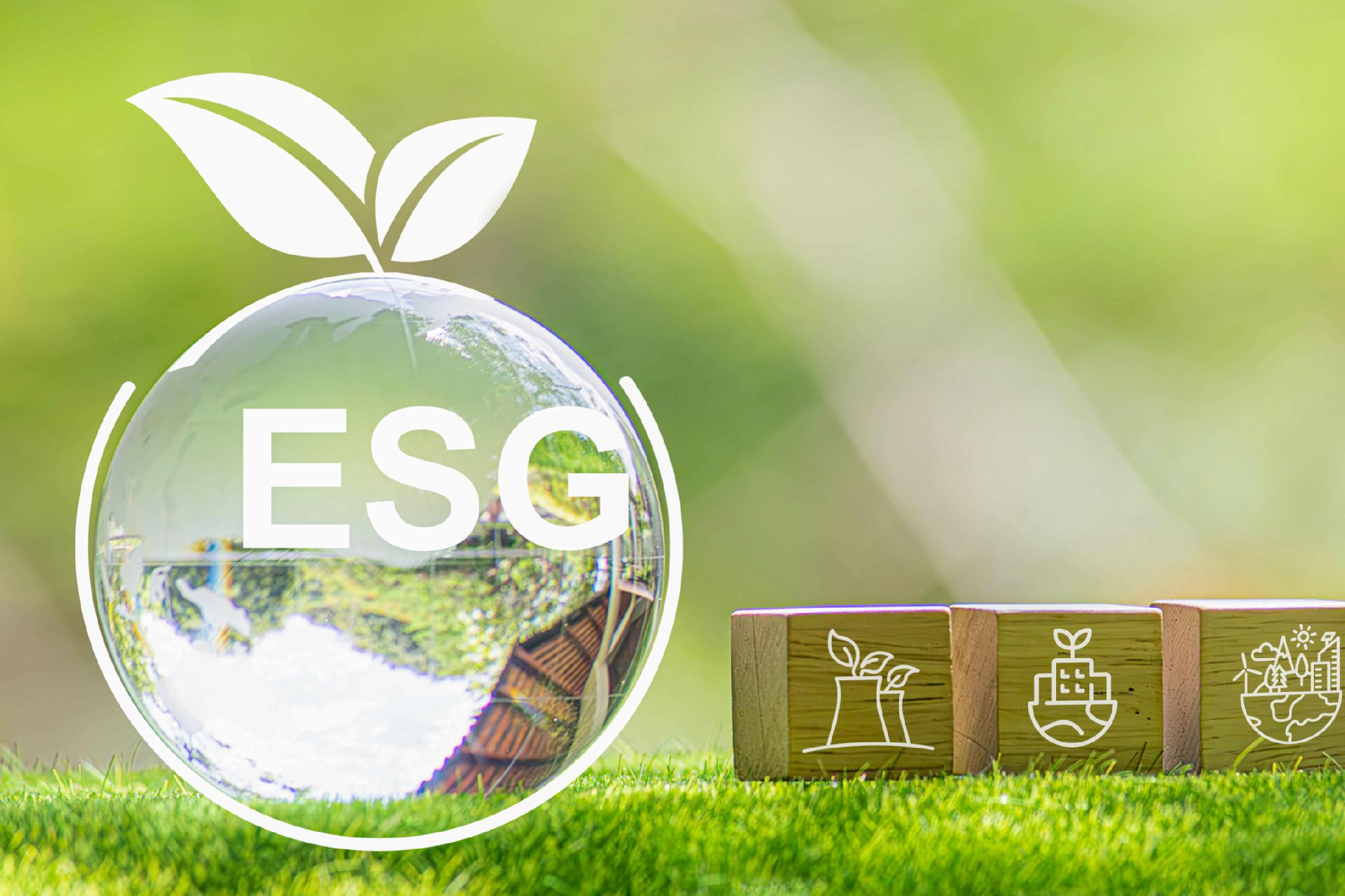 【ESG真心话】王元丰:ESG不能把披露当公关文案,要用治理与科技穿透“最后一公里”