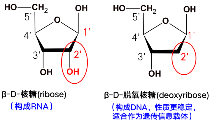 联影医疗与思努赛生物达成战略合作 携手推进帕金森病分子影像临床转化